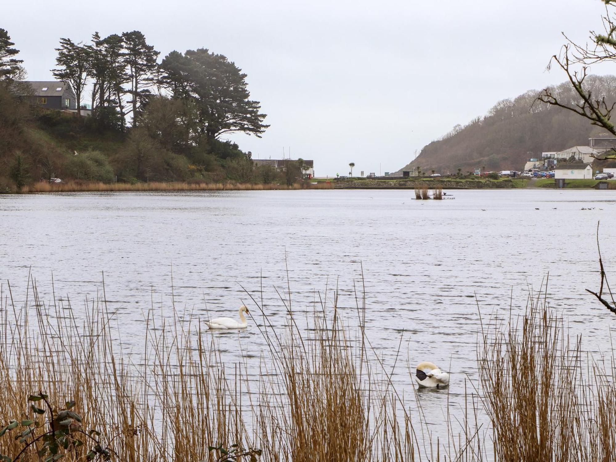 Swans Nest *