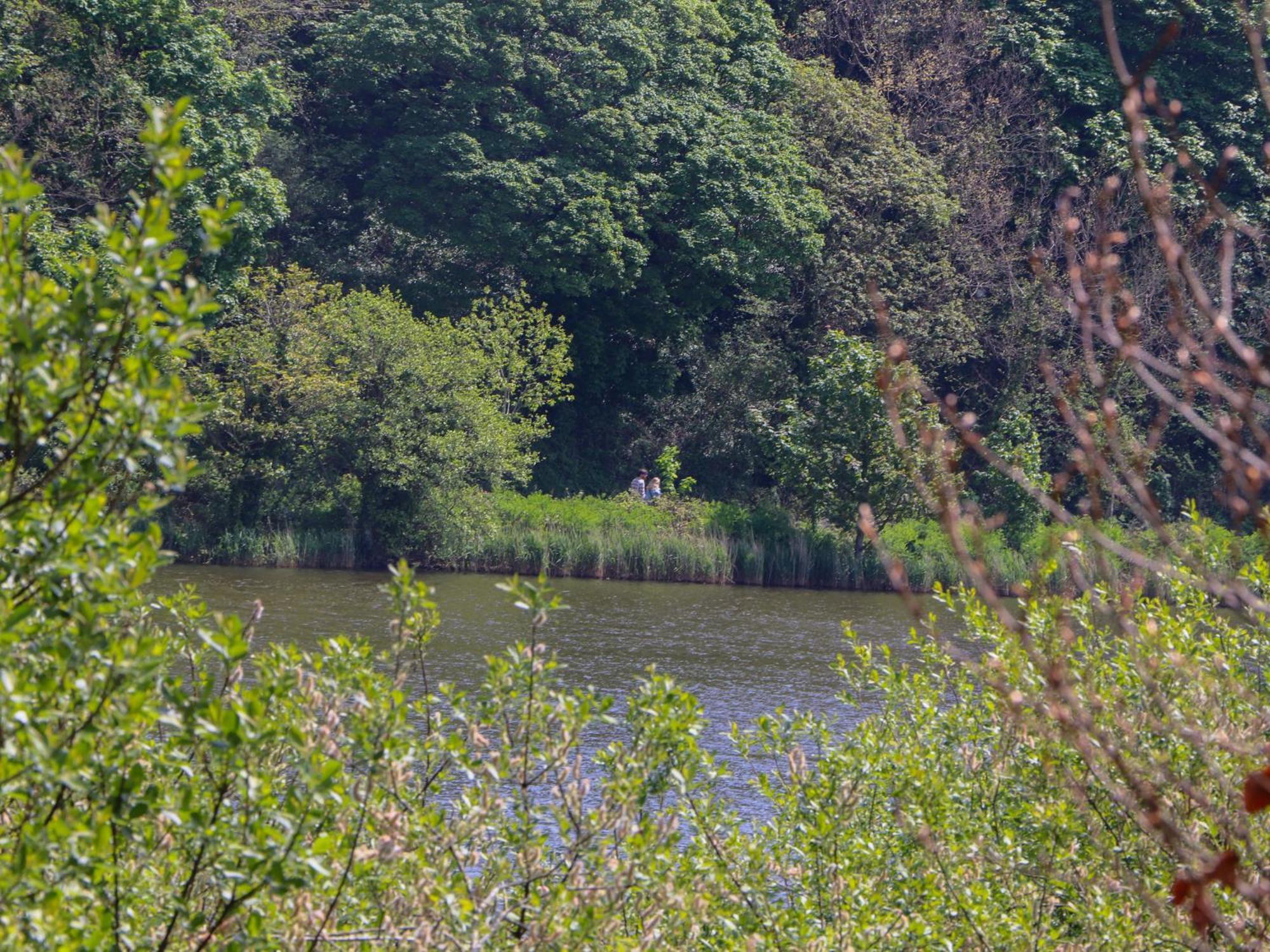Apartment Swans Nest Falmouth